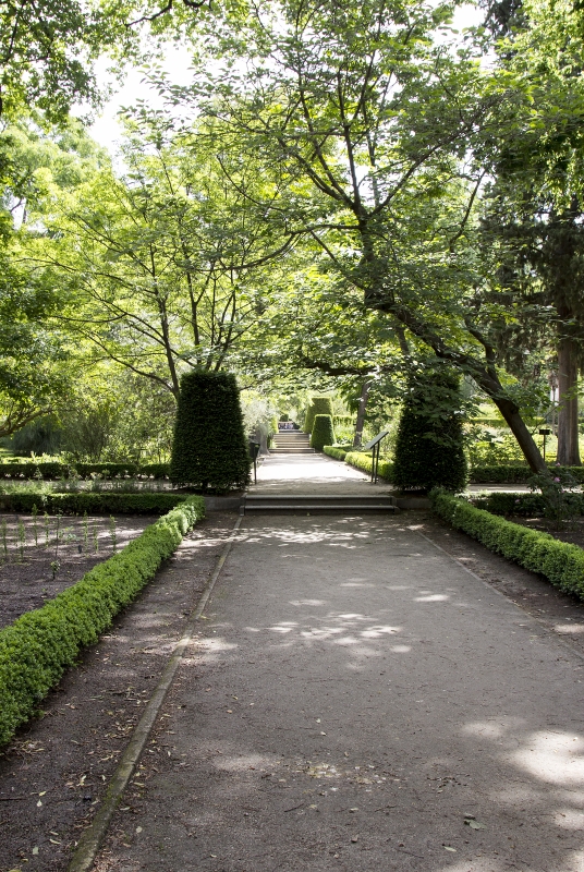 Real Jardín Botánico de Madrid May 2017